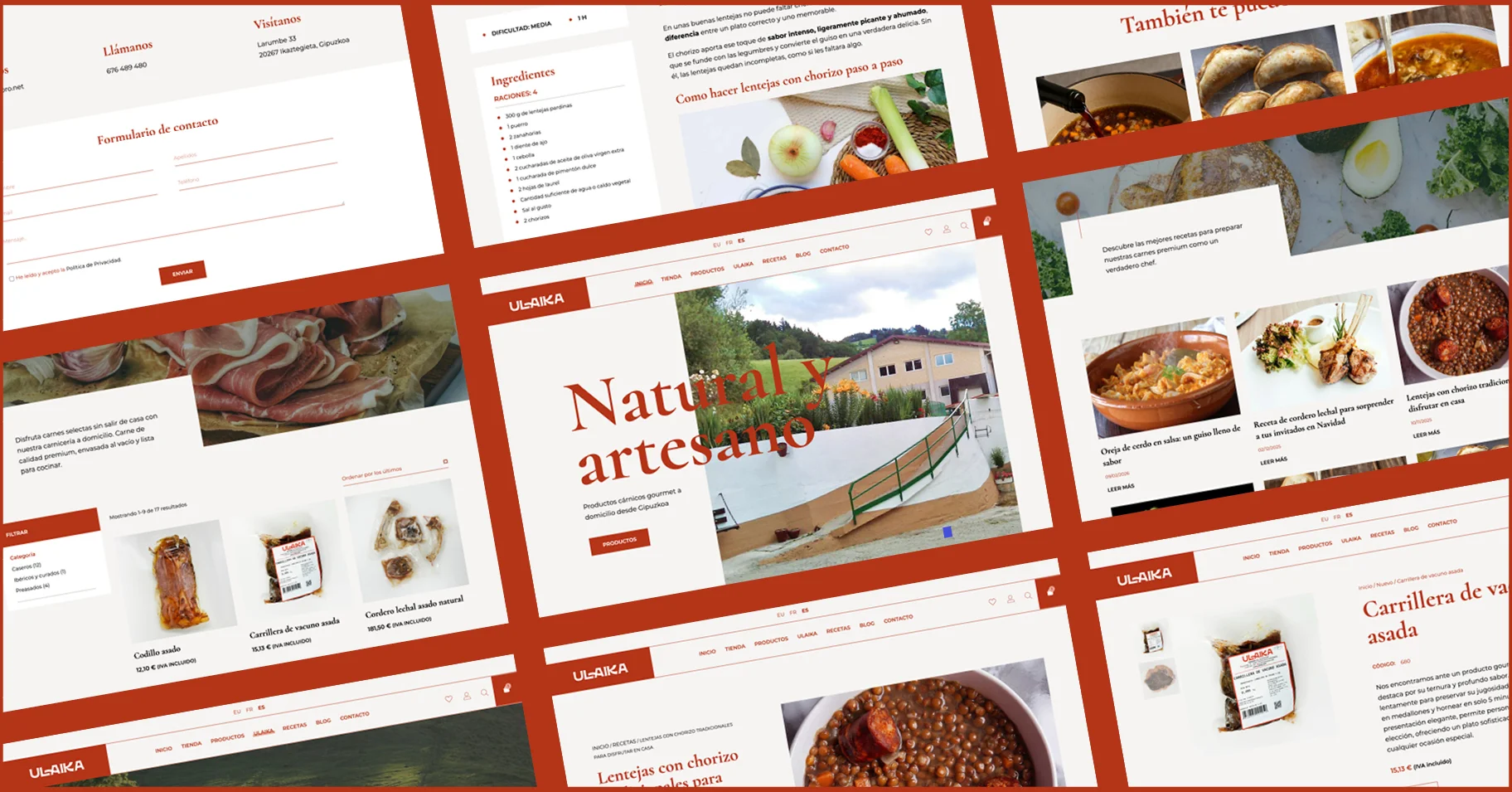 Diseño de identidad corporativa y web