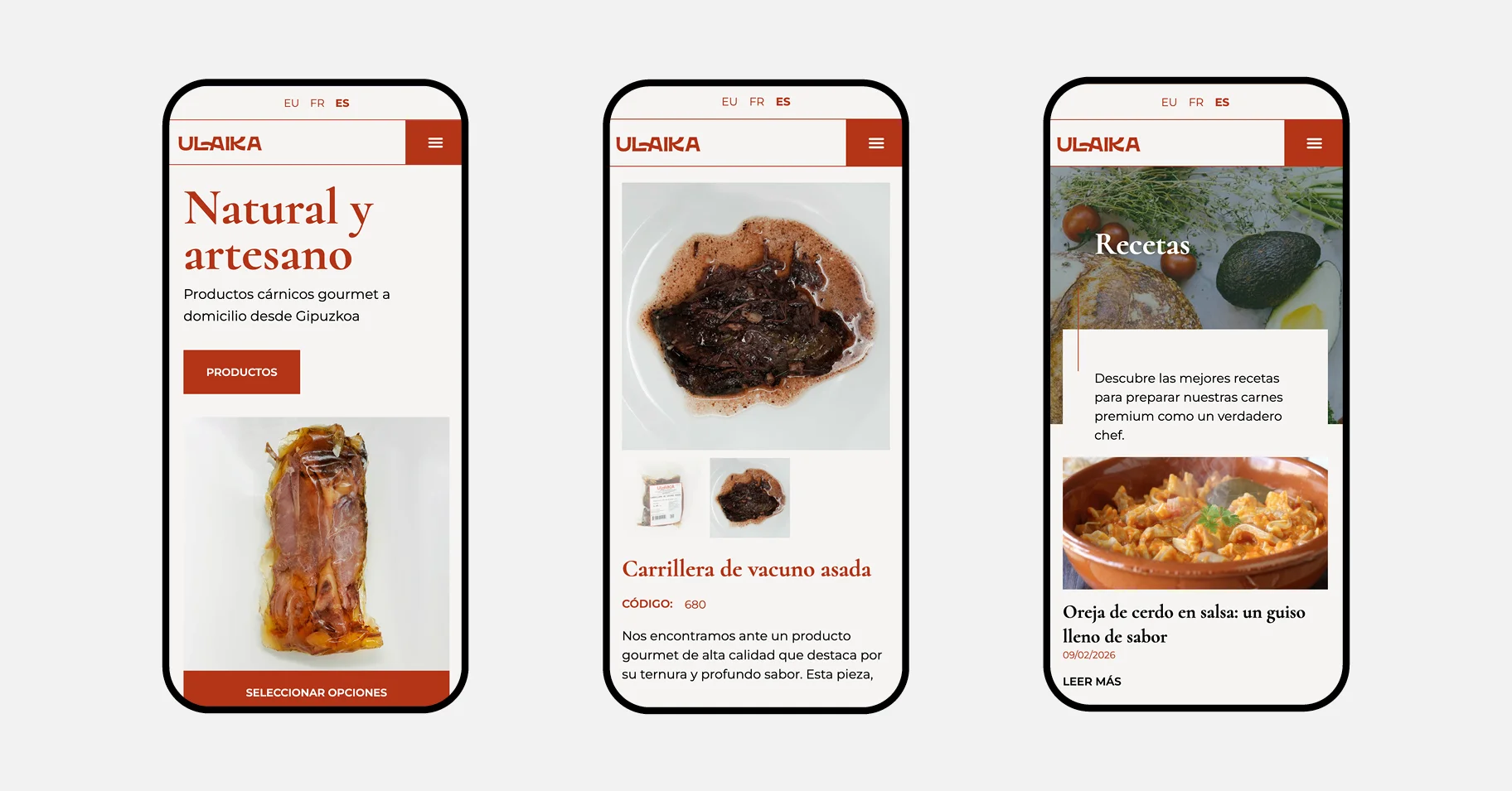 Diseño de identidad corporativa y web